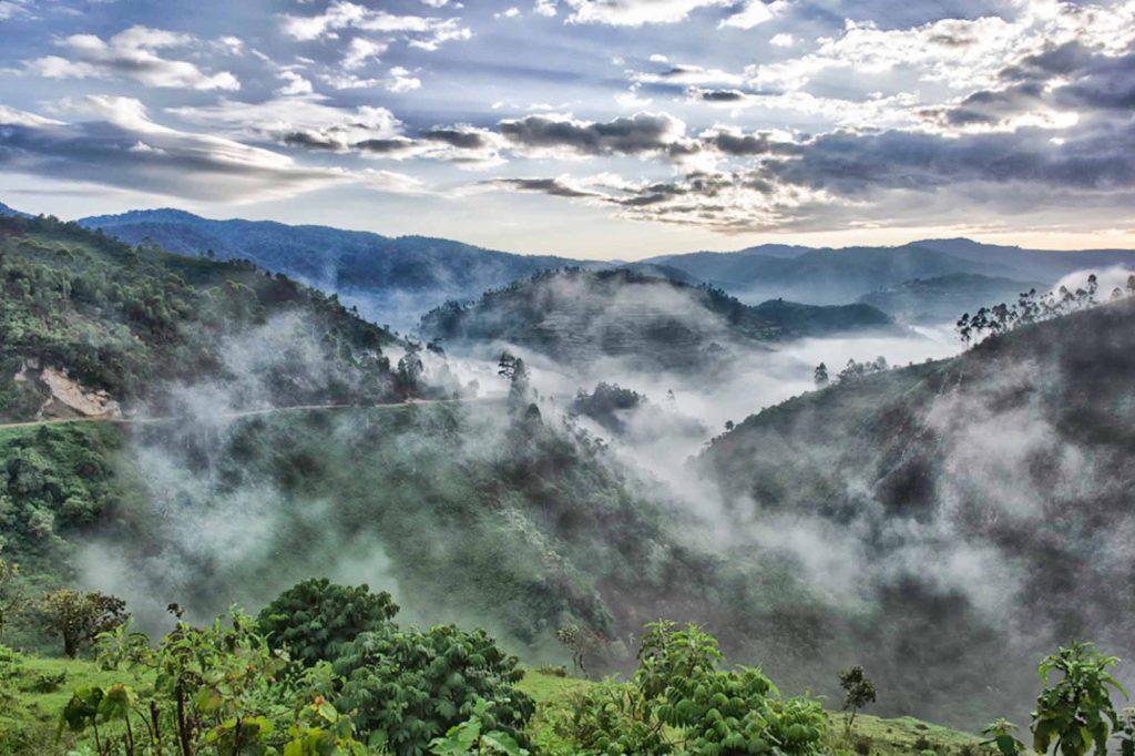 Bwindi Impenetrable National Park - most beautiful places to viti in Uganda