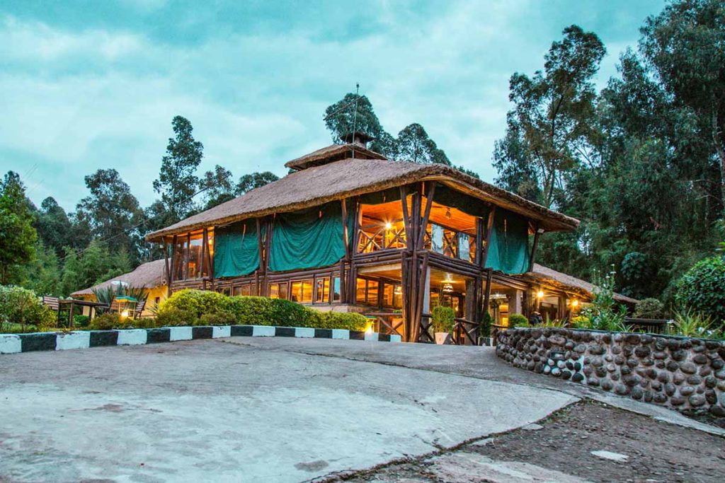 Da Vinci Gorilla Lodge for budget friendly accommodation in Volcanoes National Park rwanda