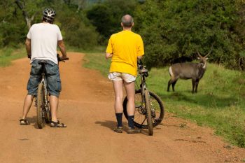 Biking safari to see animals in lake mburo uganda