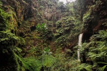 Waterfalls - hiking in nyungwe