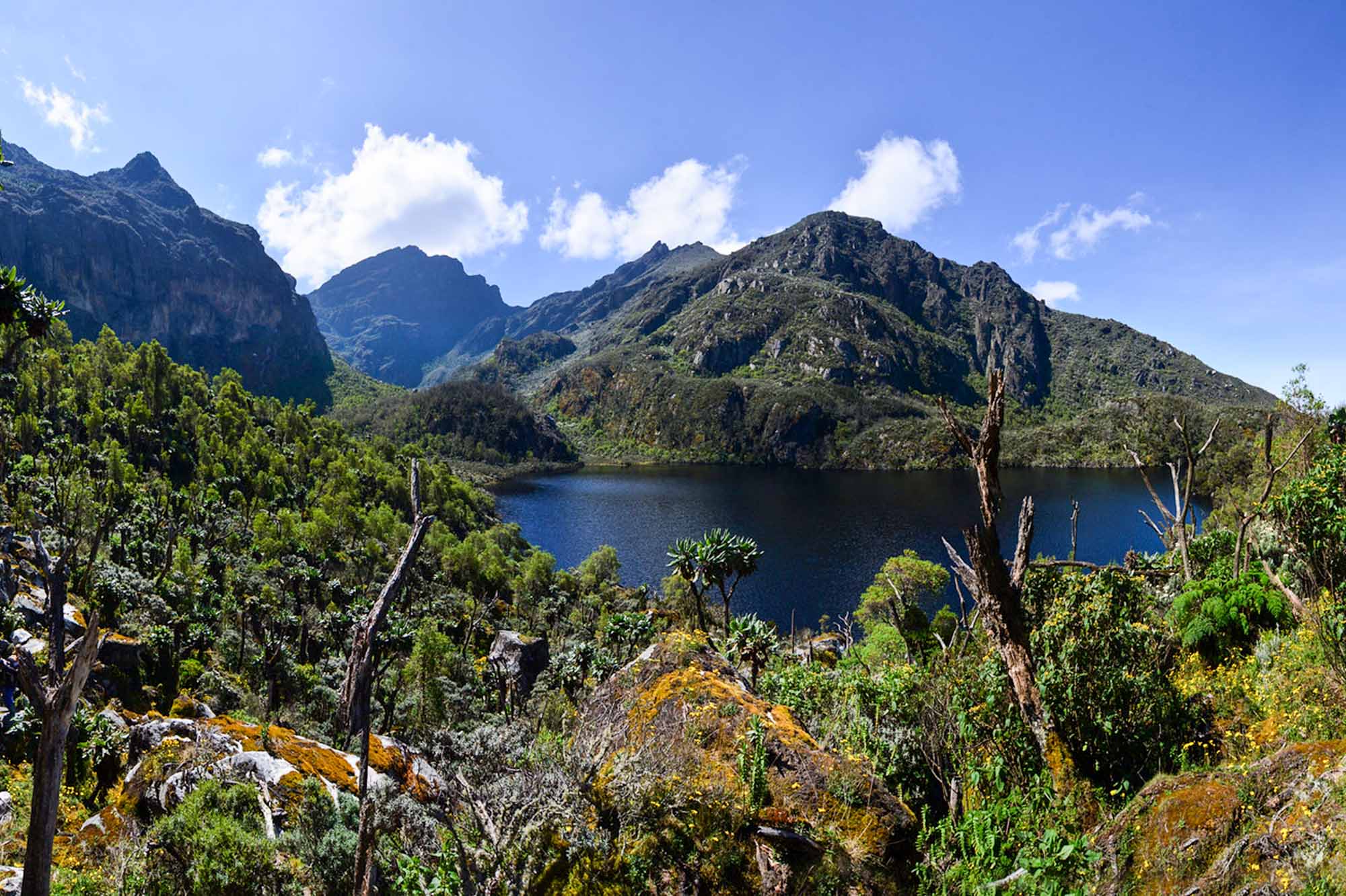 Rwenzori Mountains