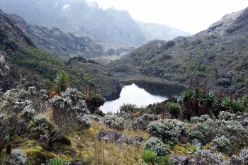 Lake in Rwenzori Mountains National Park